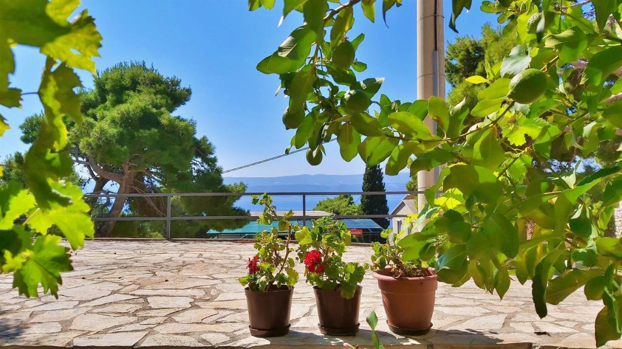 Apartments Gajo Omiš Quarto foto
